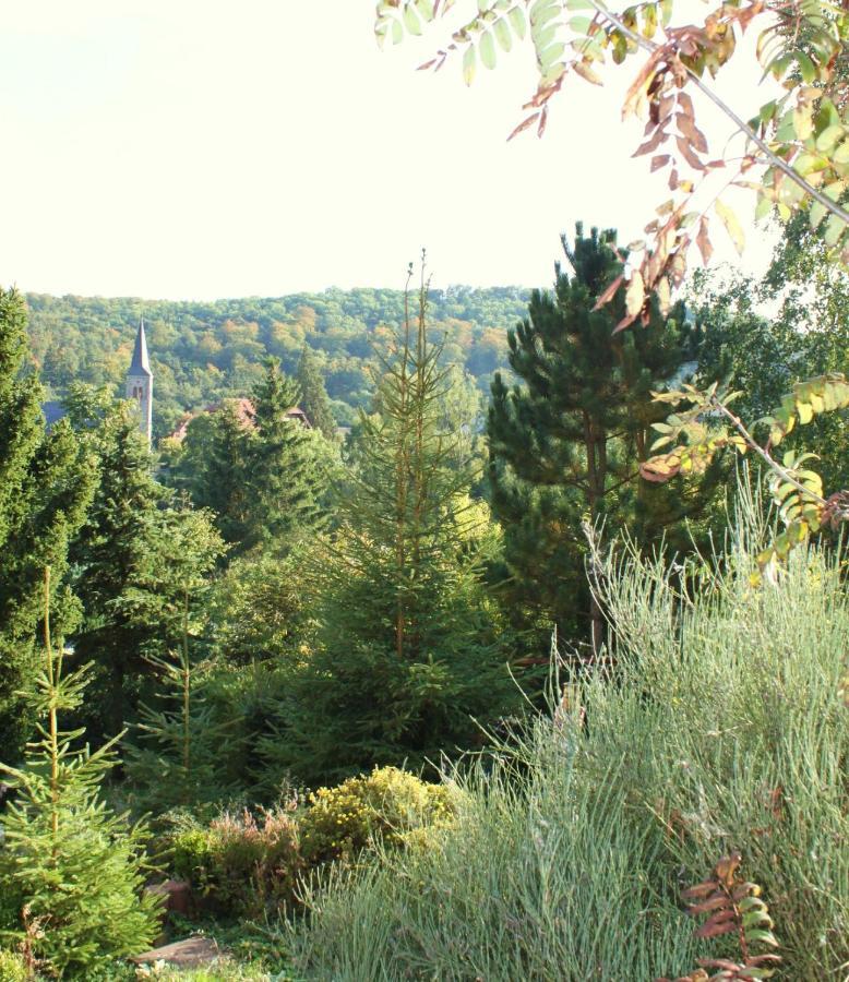 Ferienhaus Harzblick Guntersberge Exterior photo